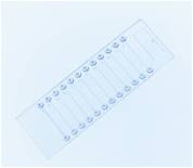 CrystalSlide CrystalSlide Case of 20 UV and X-ray transmissible