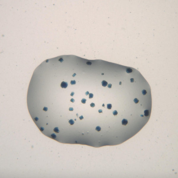 CrystalDirect Plate Crystallization Cyrstals Growth