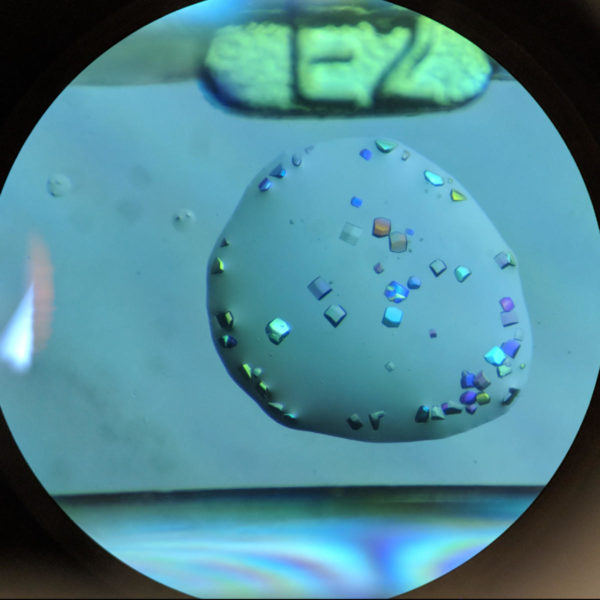 Crystals Plate Microscope