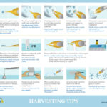 Harvesting Tips Poster full