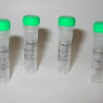 nucleotide_standard_kits