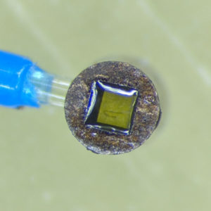 Sentinel Watchdog Kit G2 GAGG | MiTeGen