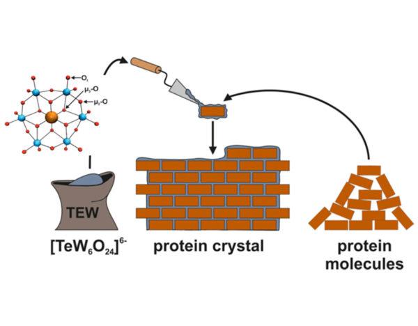 Jena Protein Crystal Protein Molecules Mitegen