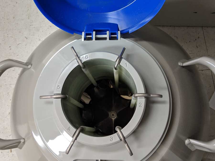 Puck Transport Cane In Dry Shipper