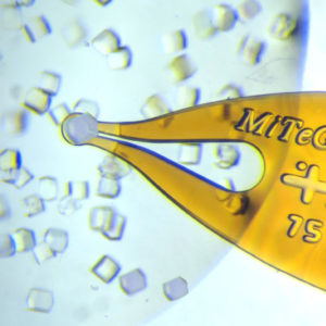 Beamline Sample Preparation