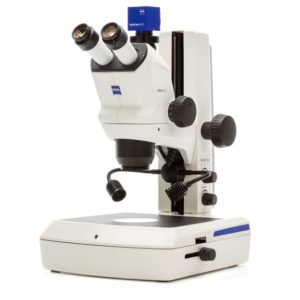 Stereo Microscopes