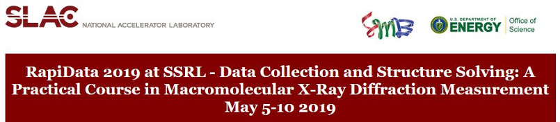 Rapidata 2019 SSRL Data Collection And Structure Solving