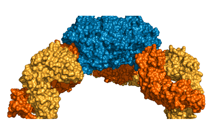 Accelerating Cancer Drug Discovery Through Structural Biology 3rd Scientific Meeting