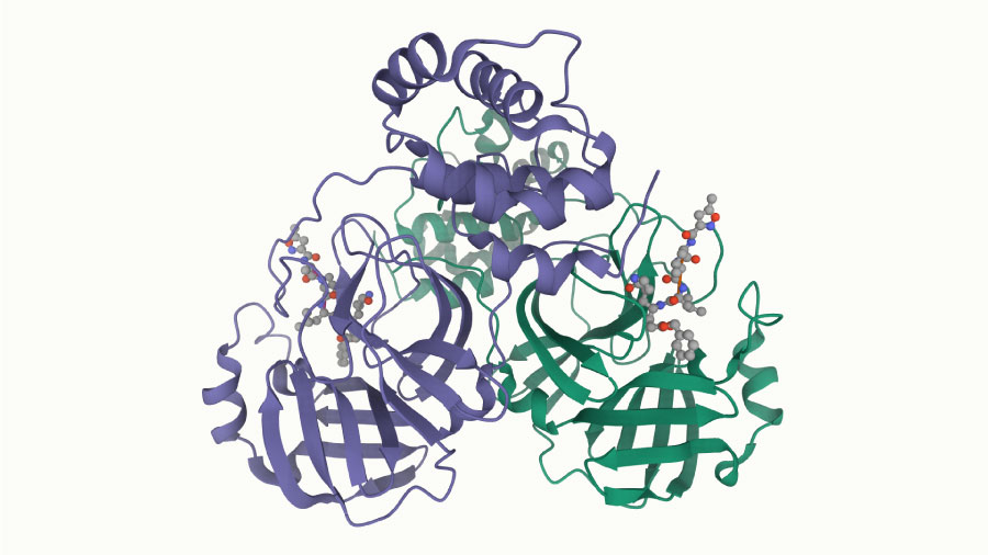 PDB entry 6lu7 