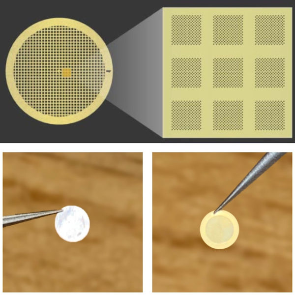 Au Flat Cryo-EM Sample Support Grid