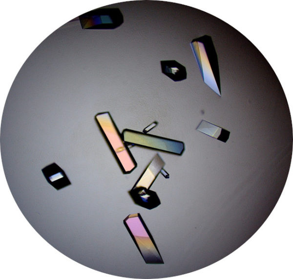 Crystallophore Nucleating Agents