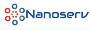Nanoserv