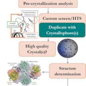 Polyvalan Crystallophore Prescreening Experimental Phasing Agents