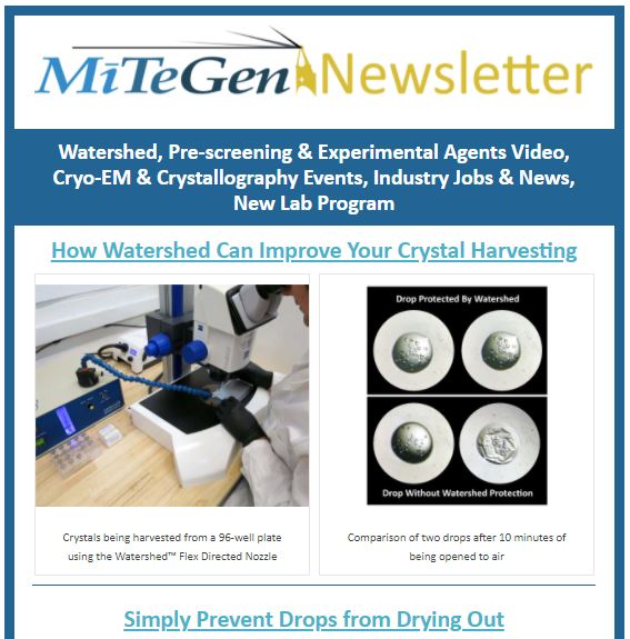 Mitegen October 2020 Newsletter