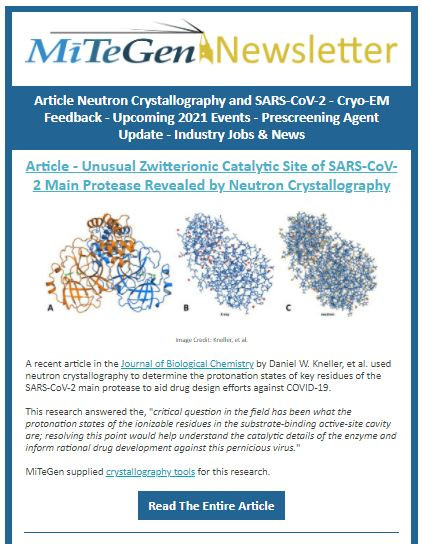 Mitegen January 2021 Newsletter