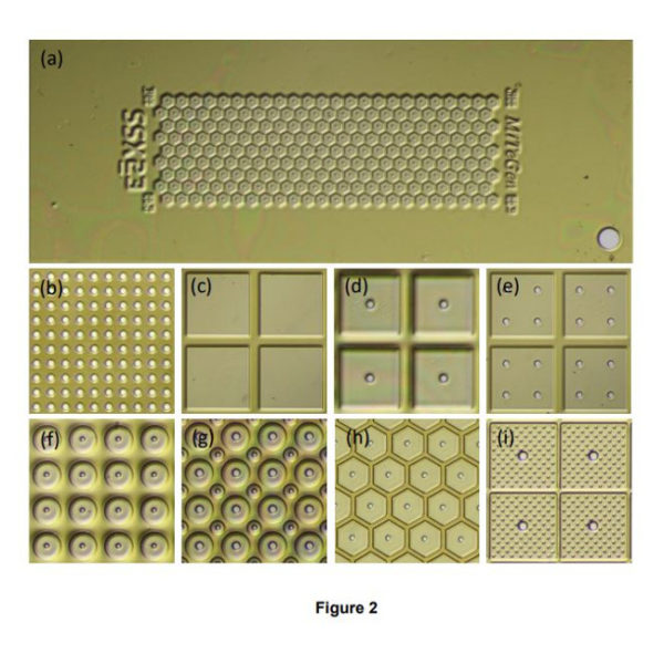 Sample Support Films Figure 2