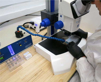Watershed Workstation For Protein Crystallography