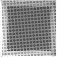 Quantifoil Holey Carbon Films 2nm Continuous Carbon On Top Small