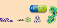 PSDI 2021