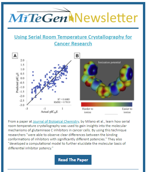 MiTeGen February 2022 Newsletter