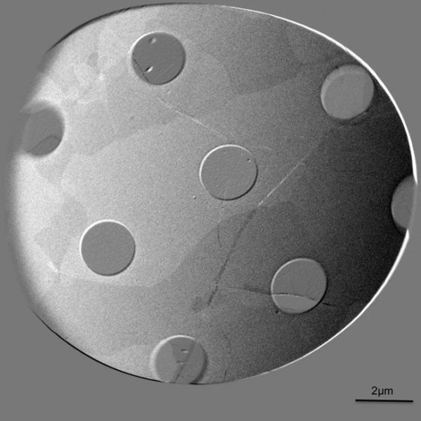 Suspended Graphene on TEM Grids 3