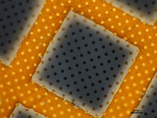 Suspended Graphene on TEM Grids 7