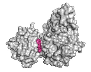 CLK3 in complex with a new inhibitor chemotype (PDBID: 6FT7)1 Ligand-Friendly Screen