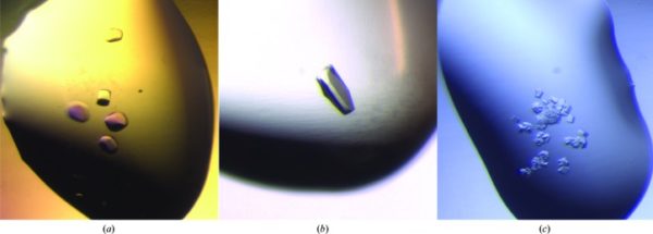 Crystals of RelTt NTD grown using SG1 screen4