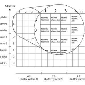 Morpheus Figure 2