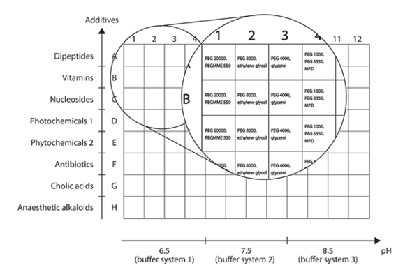 Morpheus Figure 2