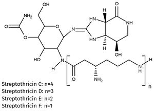 Nourseothricin – Solution