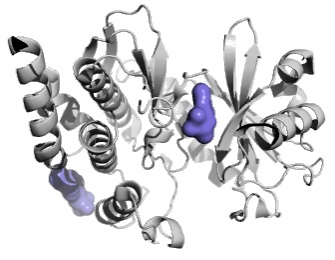 Haspin in complex with a range of halo-aromatic inhibitors including the complex with 5-iodotubercidin (PDBID: 6G34)2 Ligand-Friendly Screen