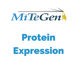 Protein Expression