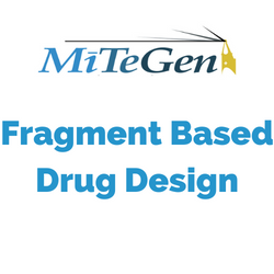 Fragment Based Drug Design