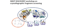 iNEXT Discovery Workshop On Crystallographic Fragment Screening