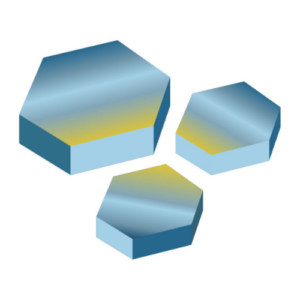 Real-Time PCR qPCR