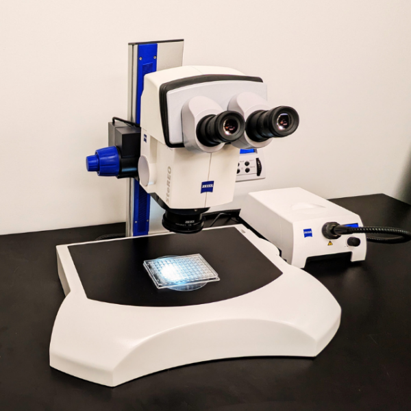 MiTeGen V201 Stereo Microscope Left Side View