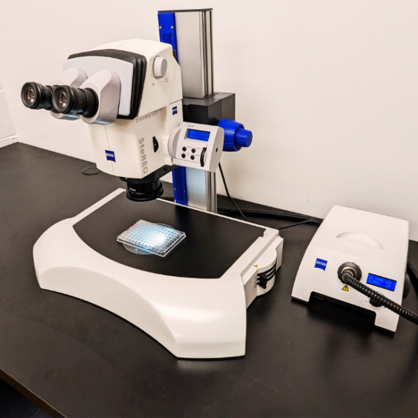 MiTeGen V201 Stereo Microscope Right Side View