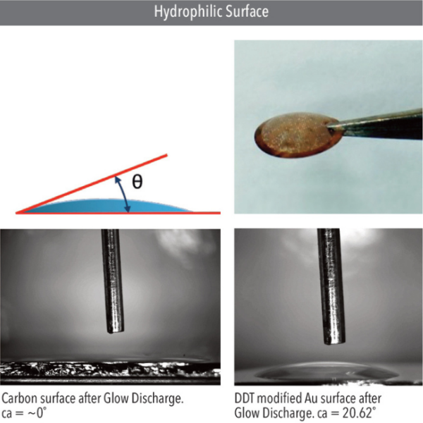 Hydrophilic Surface