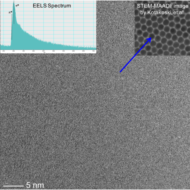 Graphene on Ultra Fine 2000 Mesh Copper TEM Grids