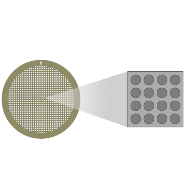 C-Flat Holey Carbon Grids For Cryo-TEM