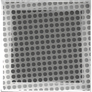 Quantifoil Holey Carbon Grids R2-1