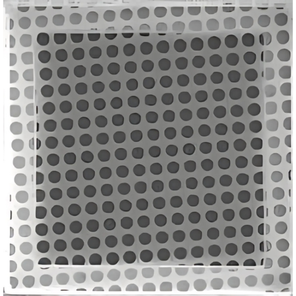 Quantifoil Holey Carbon Grids R2-1