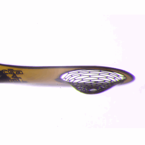 Microbasket