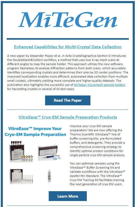 MiTeGen Newsletter July 2025