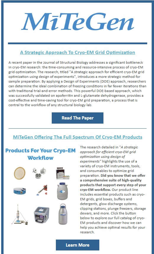 MiTeGen Newsletter August 2025