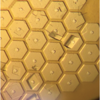 Serial Mesh Mitegen