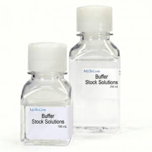 Buffer Stock Solutions
