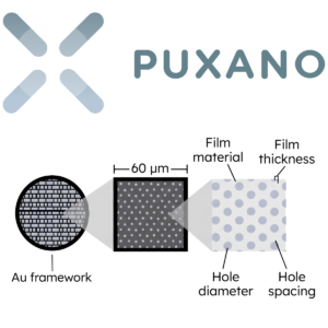 Puxano Graphene Coated Quantifoil Grids