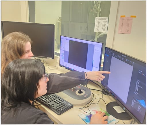 Wang Lab Spotlight Cooperation